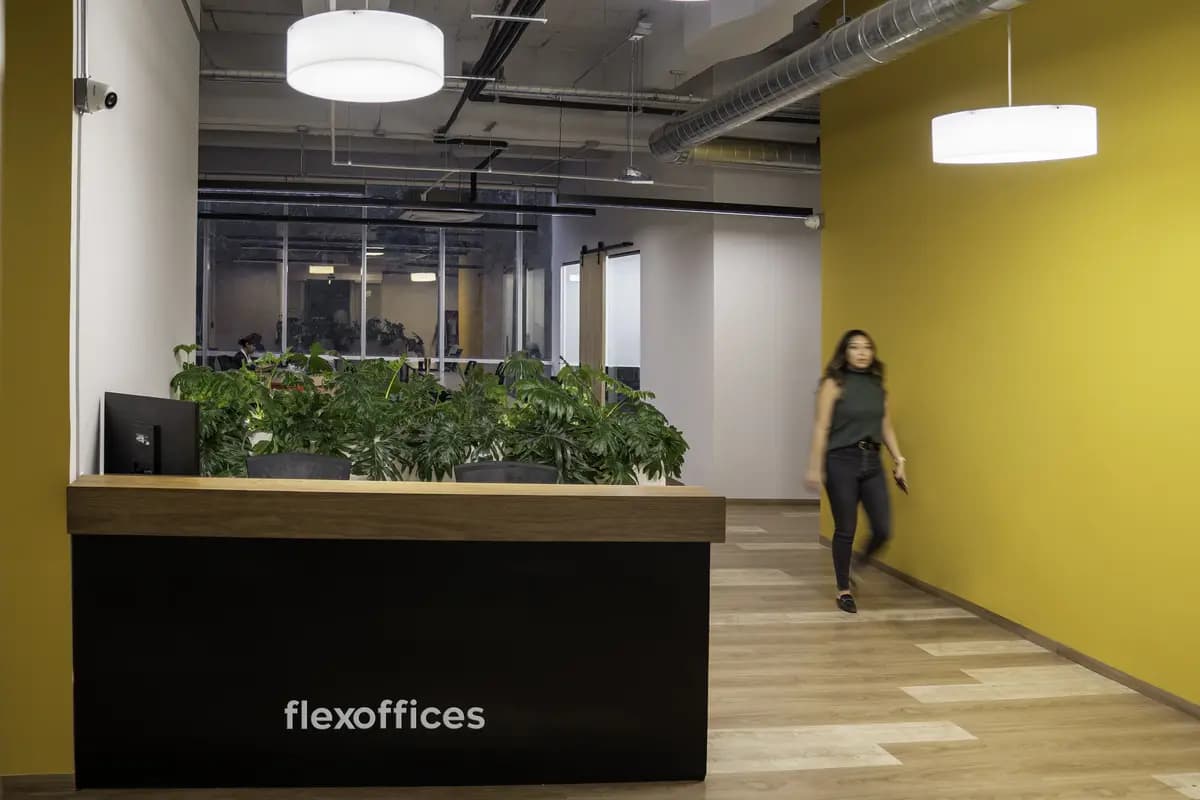 Recepción de Flexoffices con muro amarillo y plantas en Del Valle